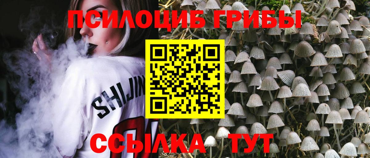 Галлюциногенные грибы ЛСД Грязи