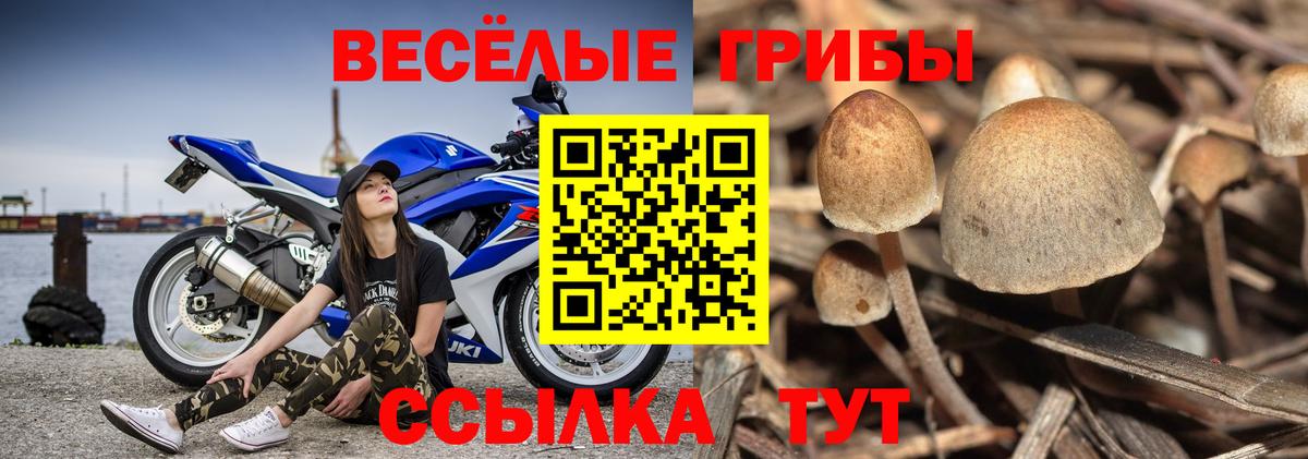 Галлюциногенные грибы Cubensis  Вход с VPN  Псилоцибиновые грибы Magic Shrooms  Грязи 